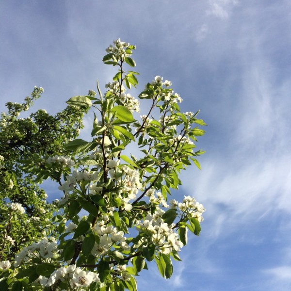Vekst og blomstring er bra, men ikke nødvendigvis ved å ansette flere folk. 