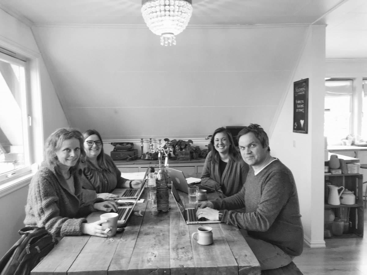 VUer i intern workshop