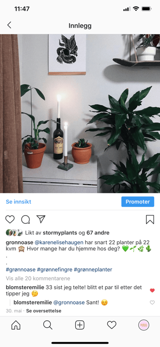Bilde 01.08.2019, 11 47 52