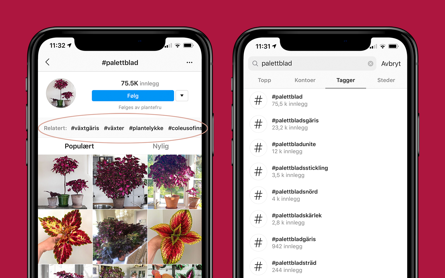 Hvilke hashtags er smart å bruke på Instagram og hvordan lager du en